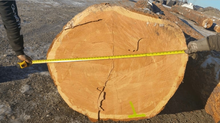 Timberspan wood products